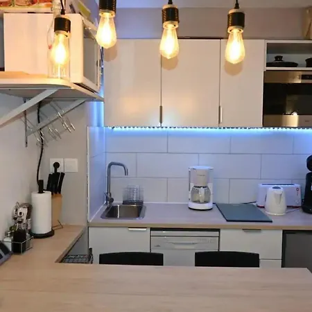 Cosy Proche Des Pistes De Ax 3 Domaines Apartman *