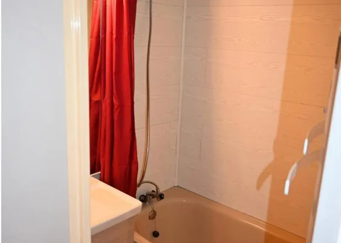 Apartment Cosy Proche Des Pistes De Ax 3 Domaines Ax-les-Thermes