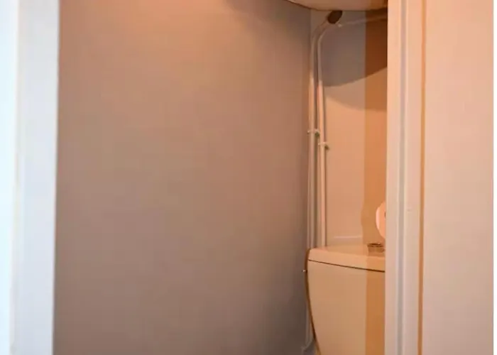 Apartment Cosy Proche Des Pistes De Ax 3 Domaines *