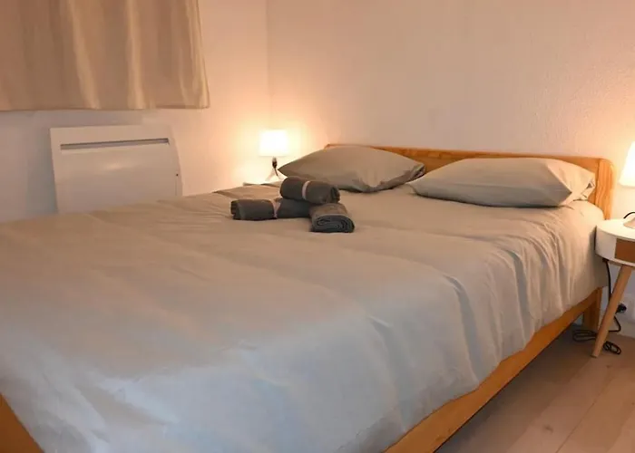 Cosy Proche Des Pistes De Ax 3 Domaines *