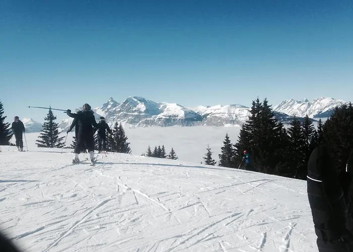 Apartment Cosy Proche Des Pistes De Ax 3 Domaines Ax-les-Thermes